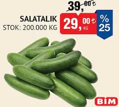 SALATALIK KG